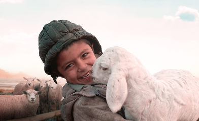 Yeryüzü Doktorları